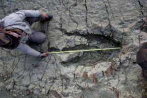 Paleontólogo Sebastián Apesteguia mede pegada de dinossauro na Bolívia