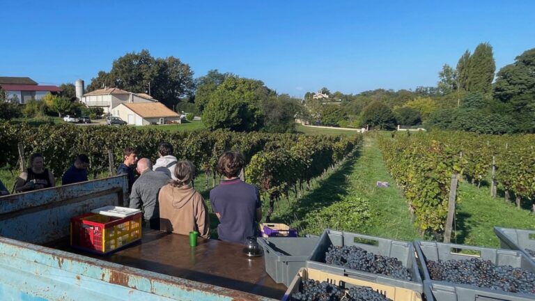 Conheça a história do microvinhedo familiar Paradise Rescued, uma produção artesanal e orgânica no interior da França