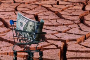 A falha silenciosa dos modelos econômicos diante da crise climática