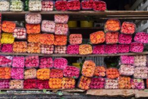 Com ou sem Trump, o Que os EUA Querem São as Flores da Colômbia e Equador