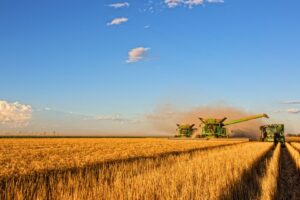 Agropecuária lidera crescimento da atividade econômica em 2025, aponta Banco Central