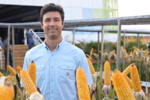 Produtor Do Paraná Mantém Investimento Mesmo Com Preços Pressionados