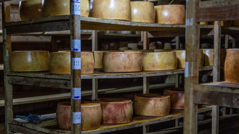 queijos artesanais