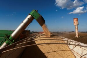 Colheita de Soja Chega a 30% no Brasil, com Ritmo Mais Lento em Cinco Anos