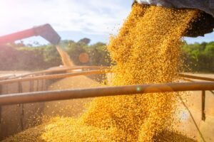 Brasil Abre Mercado de Soja nas Filipinas e de Carne Moída no México