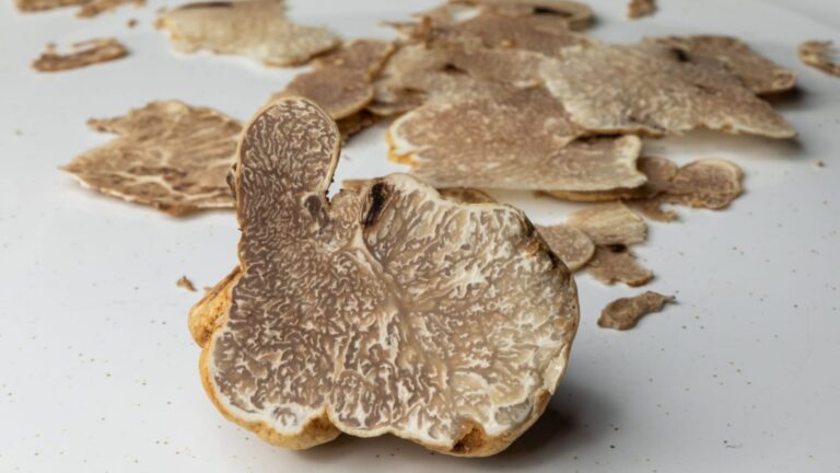 Trufa Rubi (Tuber lyonii)
