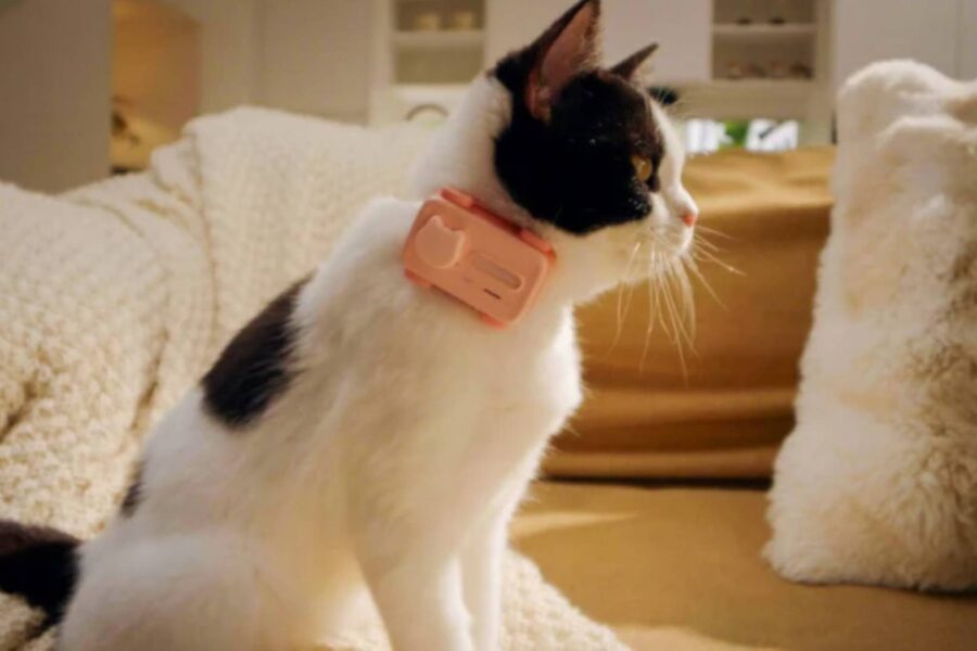 PetPhone