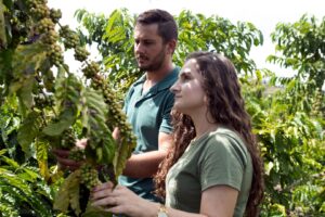 Sem Jovens Não Há Café: a Aposta da Nestlé na Geração Z do Conilon