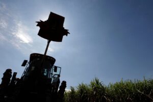 Conflito no Irã Pressiona Cotações do Açúcar e Sinaliza Maior Demanda por Etanol