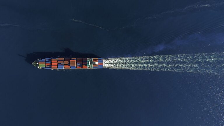 exportação