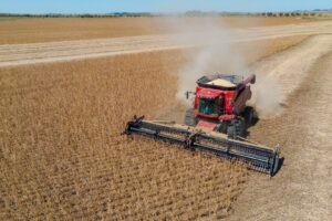 Agro Impulsiona PIB de 2025 com 11,7% de Crescimento, diz IBGE
