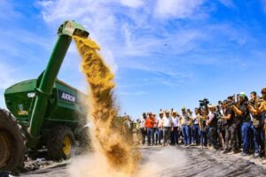Safra Recorde Argentina Garante Fluxo de Dólares ao Banco Central, Apesar da Guerra