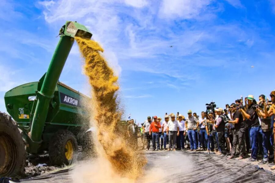 Safra Recorde Argentina Garante Fluxo de Dólares ao Banco Central, Apesar da Guerra