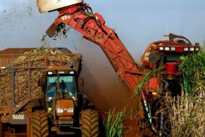 Brasil Pode Chegar a Produção Recorde de 40,6 Bilhões de Litros de Etanol