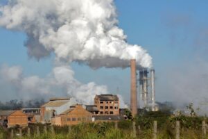 Conab Prevê Produção de Cana para 673 Milhões de Toneladas na Safra 2025/26