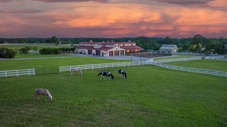 O sonho de qualquer cavalo: Por dentro do haras de US$ 4 milhões no Texas