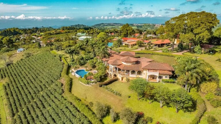 Aqui, o complexo familiar funciona menos como um playground e mais como um botão de pausa, em meio à paisagem verdejante de uma fazenda cafeeira na Costa Rica.