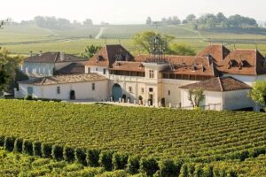 Família Centenária Transforma Vinícola Francesa em Referência Mundial no Agro de Luxo