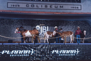 O Que Faz um Leilão de Cavalos Faturar R$ 257 Milhões? com a Palavra Fabrício Batista, do JBJ Ranch