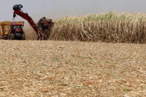 Preço do Etanol Hidratado Sobe 1,27% em São Paulo após Oito Quedas Semanais Consecutivas