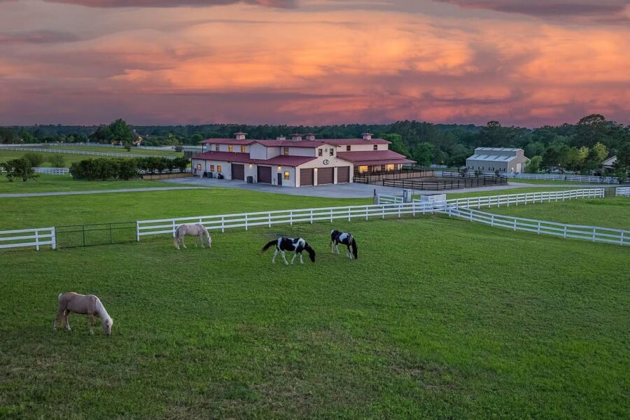 O projeto foi desenvolvido com foco no bem-estar dos cavalos