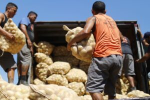 Dentro do grupo de alimentação no domicílio, mensurado pelo IPCA, preço da batata-inglesa chegou a registrar alta de 40% em maio