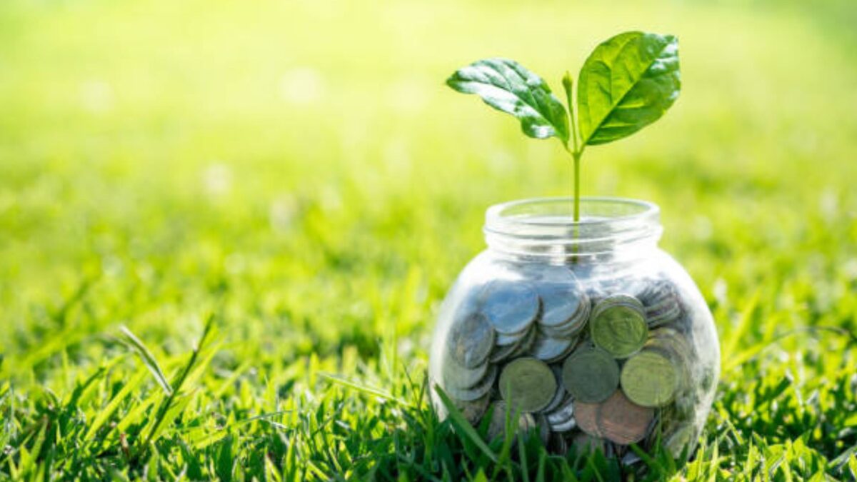 Brasil lidera atração de recursos para economia verde até 2030