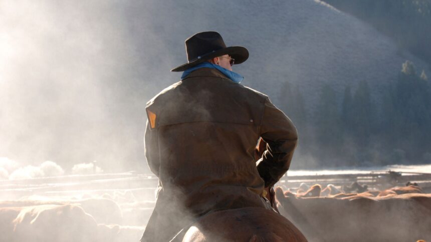Getty Images: U.S. cattle producers believe the solution will not come in the short term