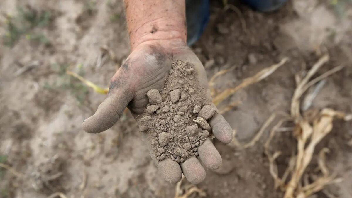 Dinheiro para Adaptação Climática
