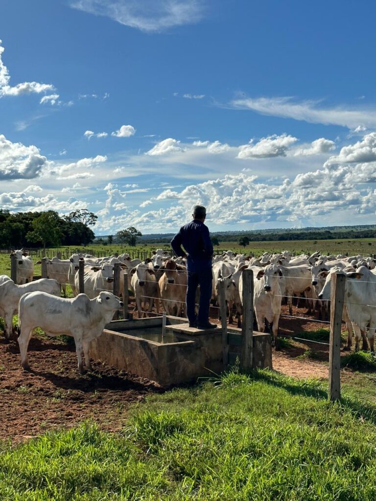 Special Dog no Pasto: Como a Família Quer Confinar 20 Mil Bovinos em Suas Fazendas