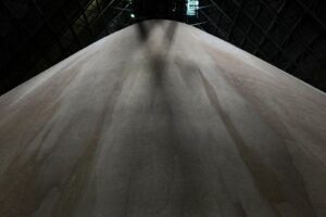 Moagem de Cana no Centro-sul Cai 13% e Produção de Açúcar Recua para 2,2 Milhões de Toneladas