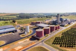 Grupo Daabon Conclui Aquisição de 100% da Agropalma no Pará