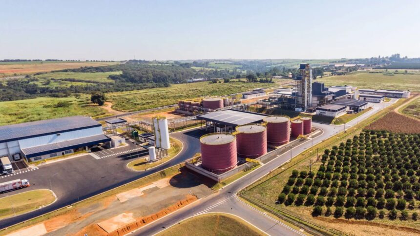 Grupo Daabon Conclui Aquisição de 100% da Agropalma no Pará