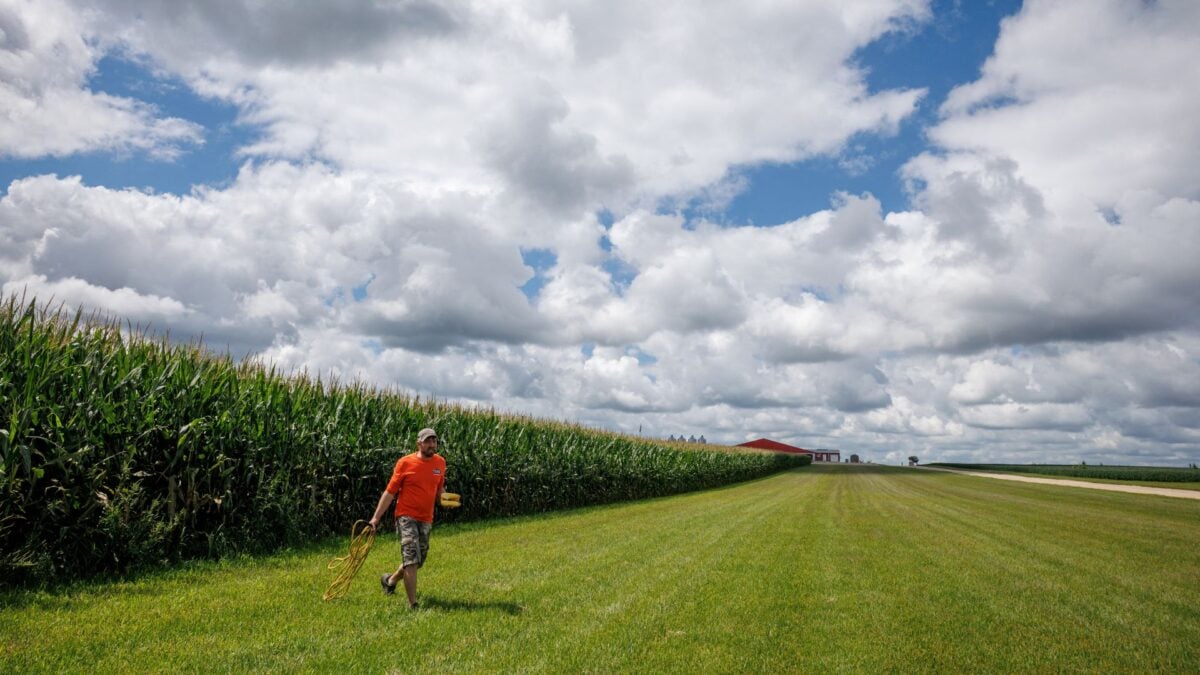 AgRural Reduz Previsão da 2ª Safra de Milho do Brasil