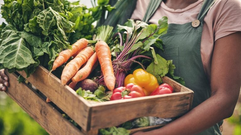 Plano Safra da Agricultura Familiar 2026/2027 Tem Aporte de R$ 97,3 Bilhões
