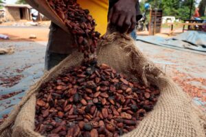 Alerta de El Niño Forte em 2026 Eleva Riscos e Ameaça Produtividade de Safras Tropicais Globais