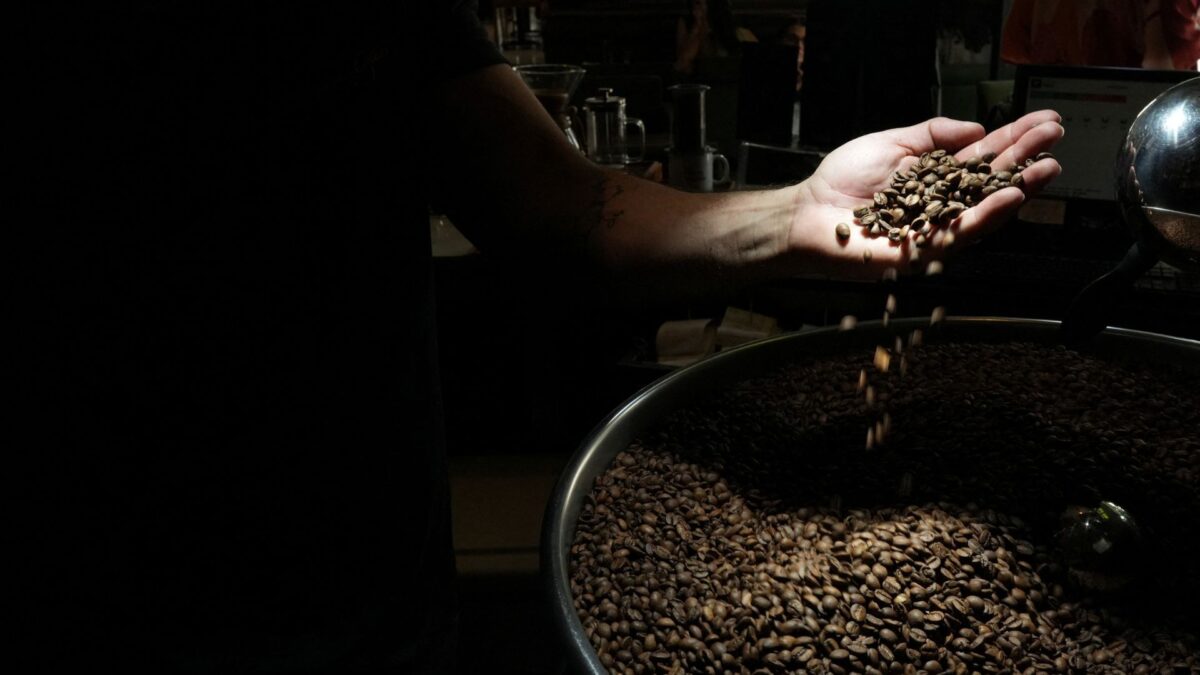 Expocacer Colhe 18% da Safra de Café Arábica após Atraso por Chuvas em Minas Gerais