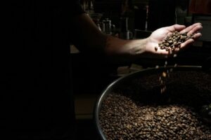 Expocacer Colhe 18% da Safra de Café Arábica após Atraso por Chuvas em Minas Gerais