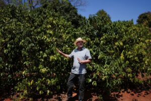 Embarques de Café Canéfora Sobem 193% e Impulsionam Exportações do Brasil em Maio