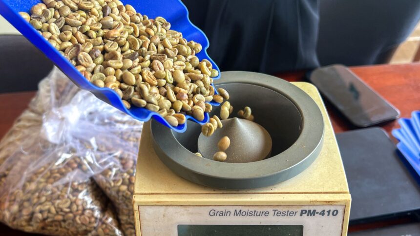 Preço do Café Robusta Se Mantém Estável no Vietnã em Meio a Mercado Lento e Chuvas no Brasil