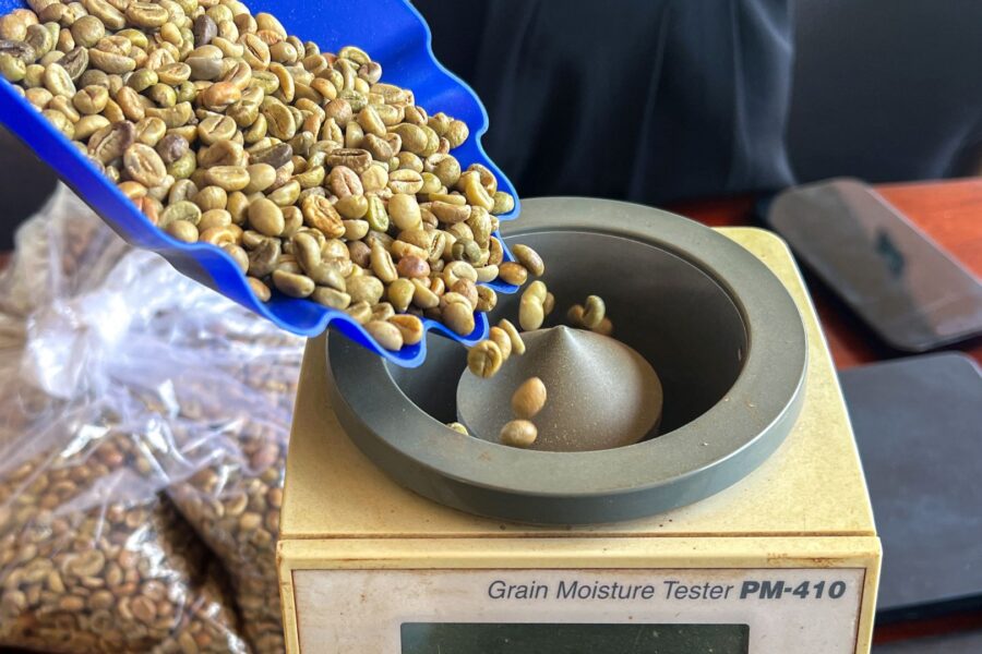 Preço do Café Robusta Se Mantém Estável no Vietnã em Meio a Mercado Lento e Chuvas no Brasil
