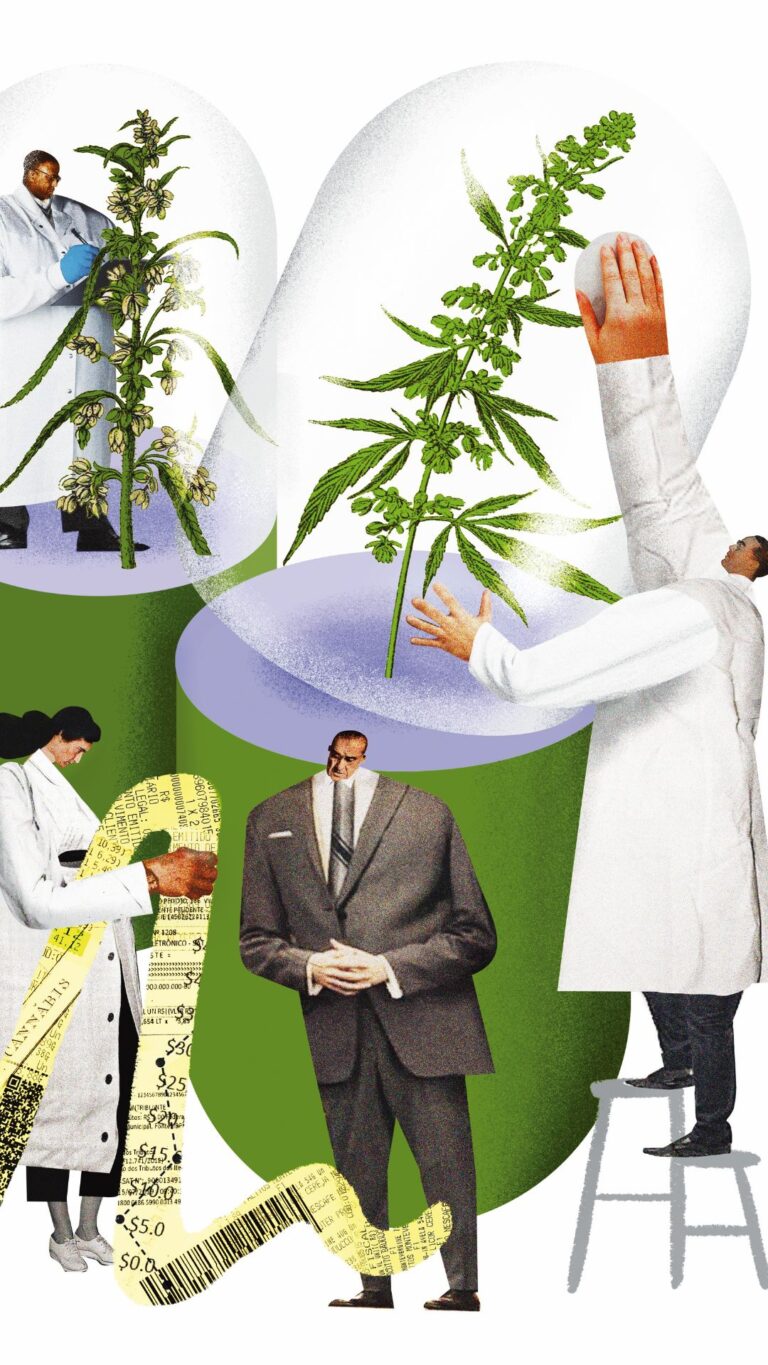 A Hora dos Grandes na Cannabis