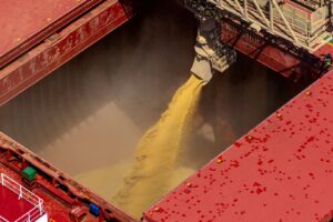 Processamento de Soja nos EUA Cai 1,4% em Maio e Frustra Projeções do Mercado