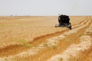 Importação de Fertilizantes dos Eua com Origem no Oriente Médio Zera em Maio