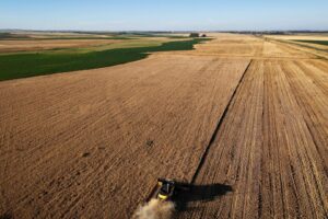 El Niño Pode Beneficiar Produção de Milho e Soja no Brasil e na Argentina