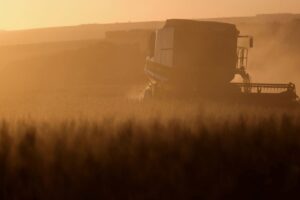 Inadimplência Eleva Leilões de Imóveis Rurais no Brasil
