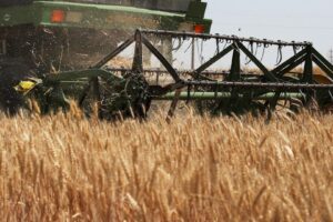 Estoques Recordes de Grãos Contêm Impacto do El Niño no Mercado Global em 2026