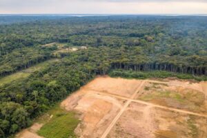 Inpe Aponta Redução de 61,4% no Desmatamento da Amazônia em Maio