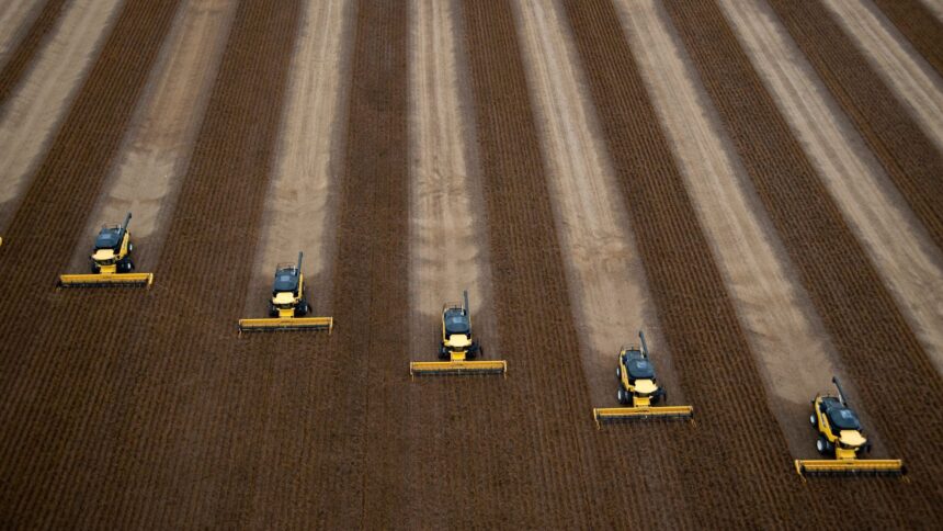 Os 10 Riscos e Oportunidades que Vão Definir o Futuro do Agro