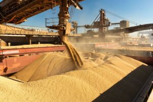 VBP Agropecuário Soma R$ 1,4 Trilhão em Maio com Recuo de 4,6%